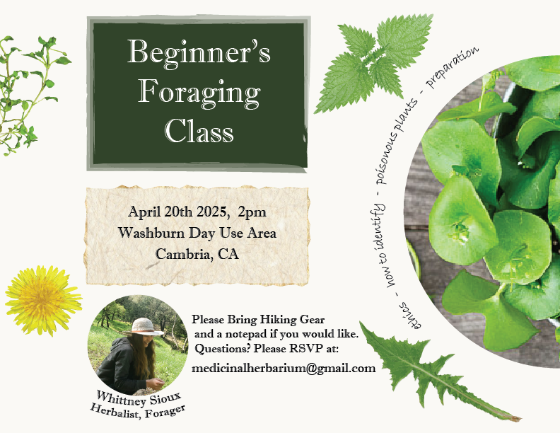Beginner's Foraging Class workshop poster