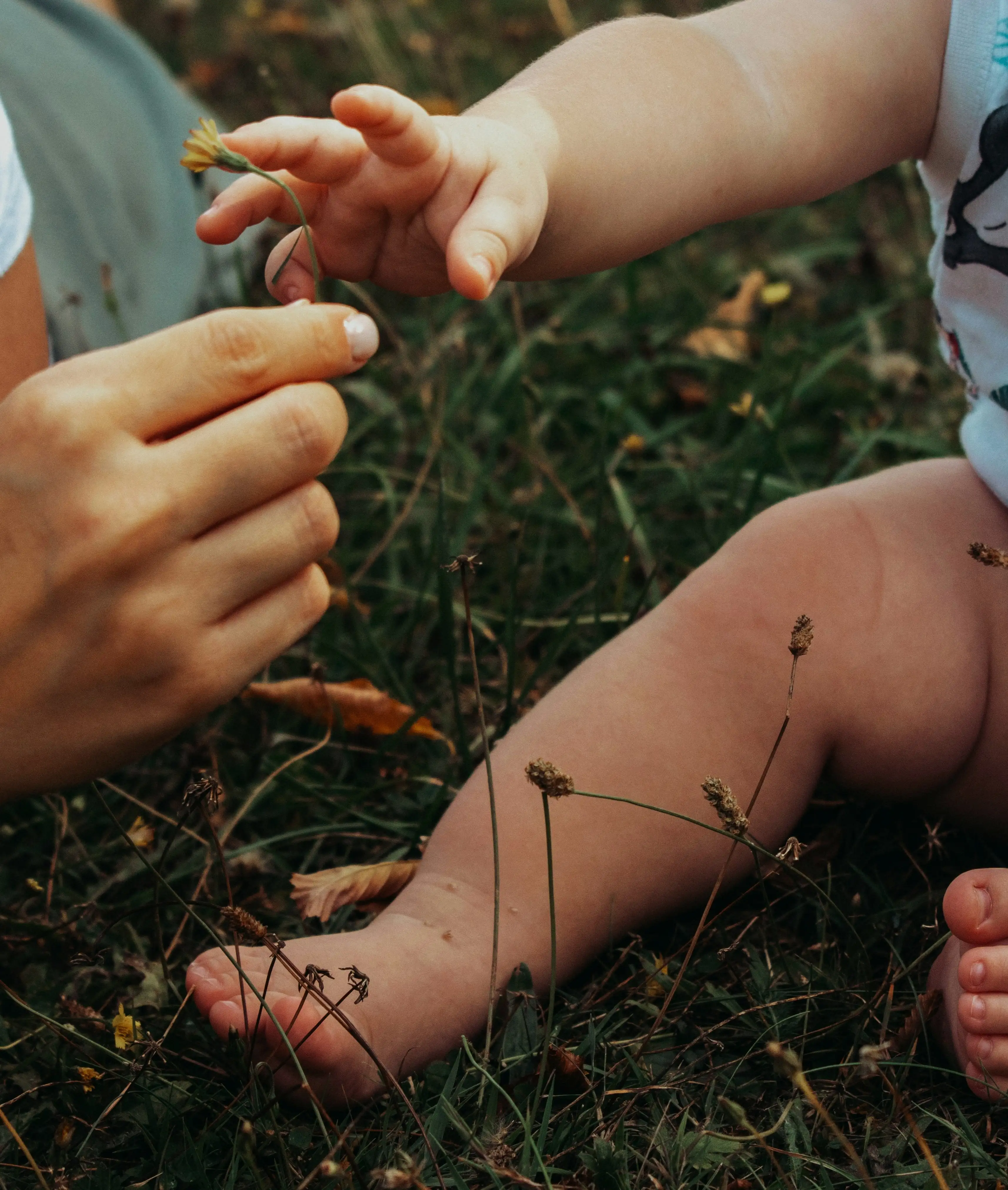 Child exploring plants outdoors